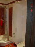 Мебль в ванную с душевой кабиной